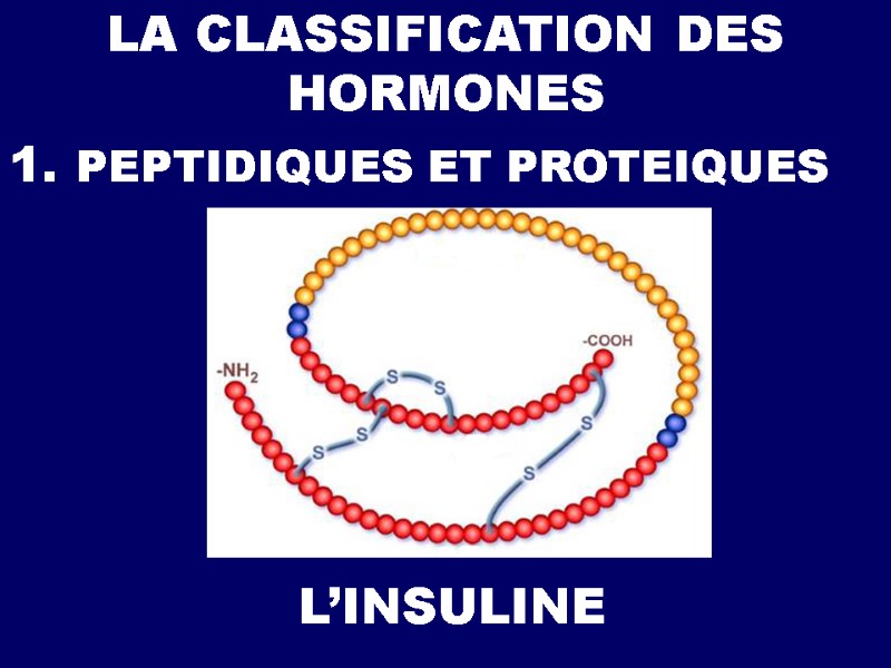 LA CLASSIFICATION DES HORMONES 1. PEPTIDIQUES ET PROTEIQUES L’INSULINE